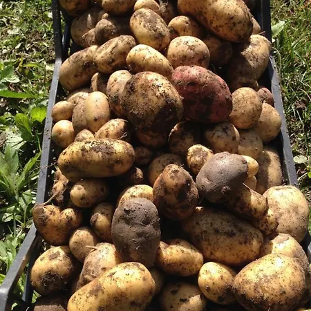 Casa Weisstor Con Patio, Giardino E Orti Vista Monte Rosa * Macugnaga