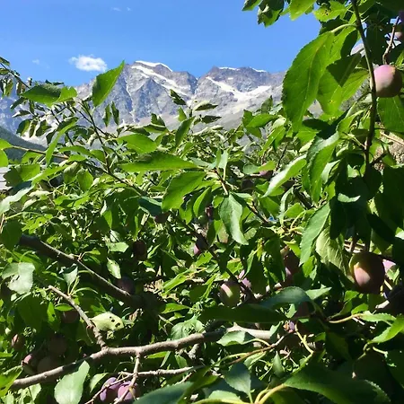 Appartamento Casa Weisstor Con Patio, Giardino E Orti Vista Monte Rosa Macugnaga