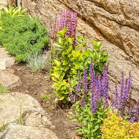 Casa Weisstor Con Patio, Giardino E Orti Vista Monte Rosa Appartamento