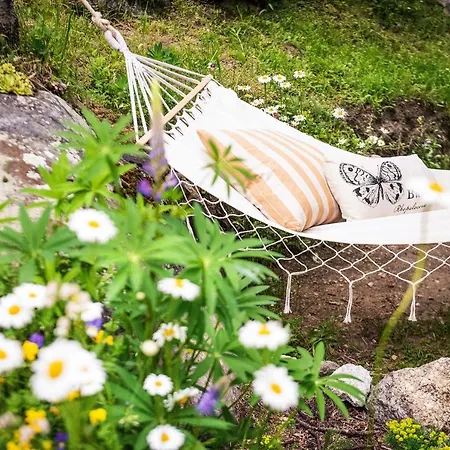 Casa Weisstor Con Patio, Giardino E Orti Vista Monte Rosa Διαμέρισμα *