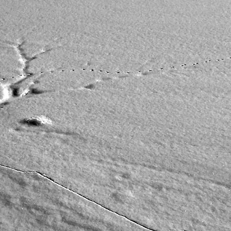 Appartamento Casa Weisstor Con Patio, Giardino E Orti Vista Monte Rosa