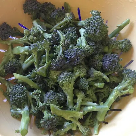 Appartamento Casa Weisstor Con Patio, Giardino E Orti Vista Monte Rosa Macugnaga