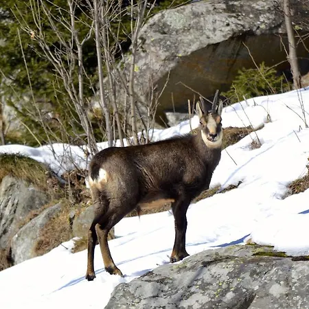 Casa Weisstor Con Patio, Giardino E Orti Vista Monte Rosa