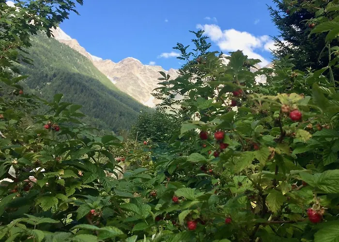 Casa Weisstor Con Patio, Giardino E Orti Vista Monte Rosa * ماكوجناجا
