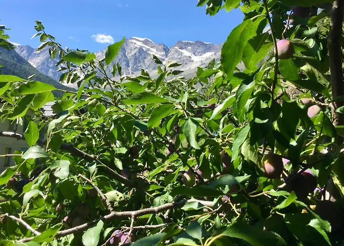 شقة Casa Weisstor Con Patio, Giardino E Orti Vista Monte Rosa ماكوجناجا
