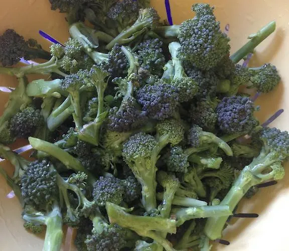 شقة Casa Weisstor Con Patio, Giardino E Orti Vista Monte Rosa ماكوجناجا